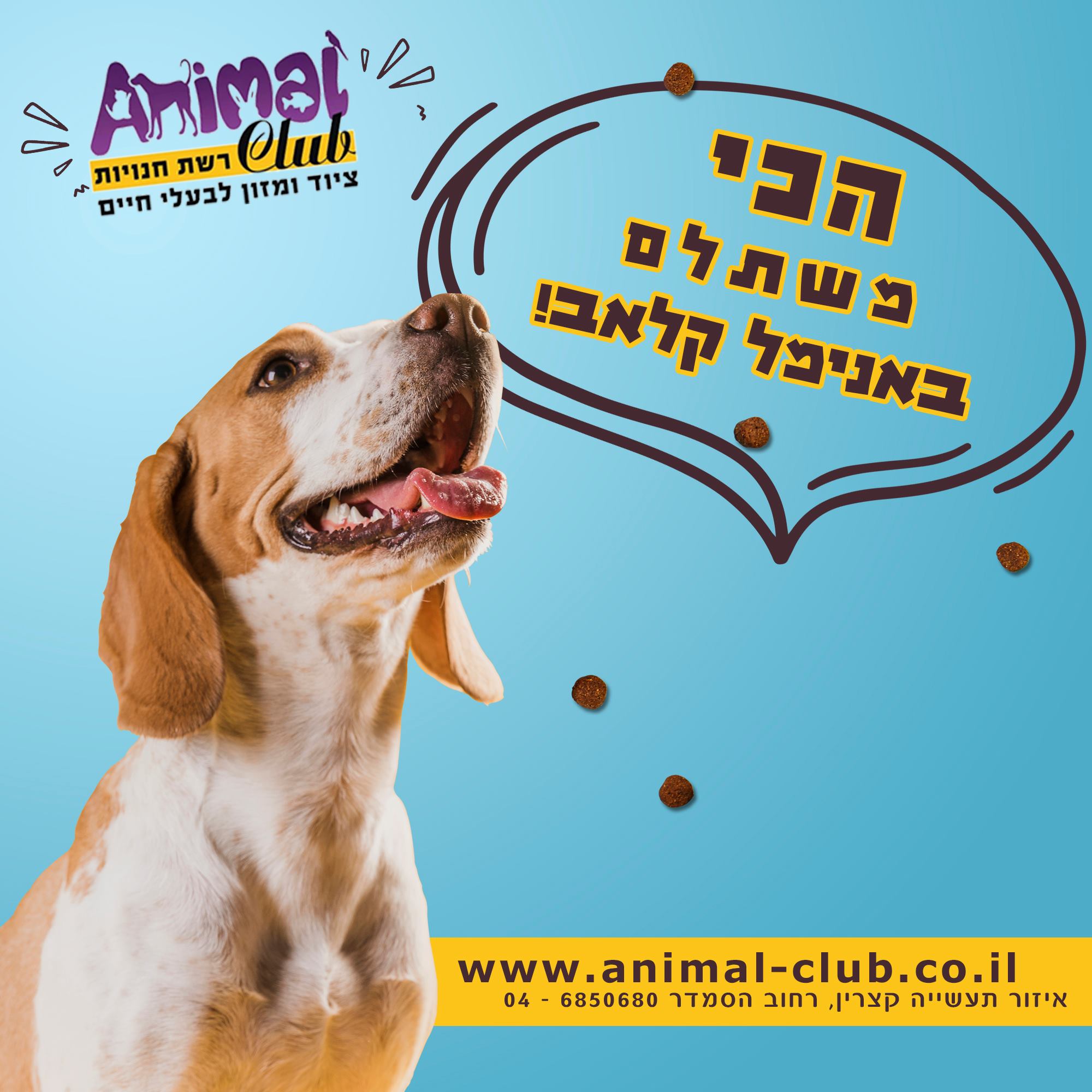 קטגוריה: כלבים